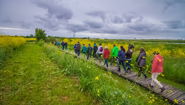 Rencontre du groupe local de Rochefort